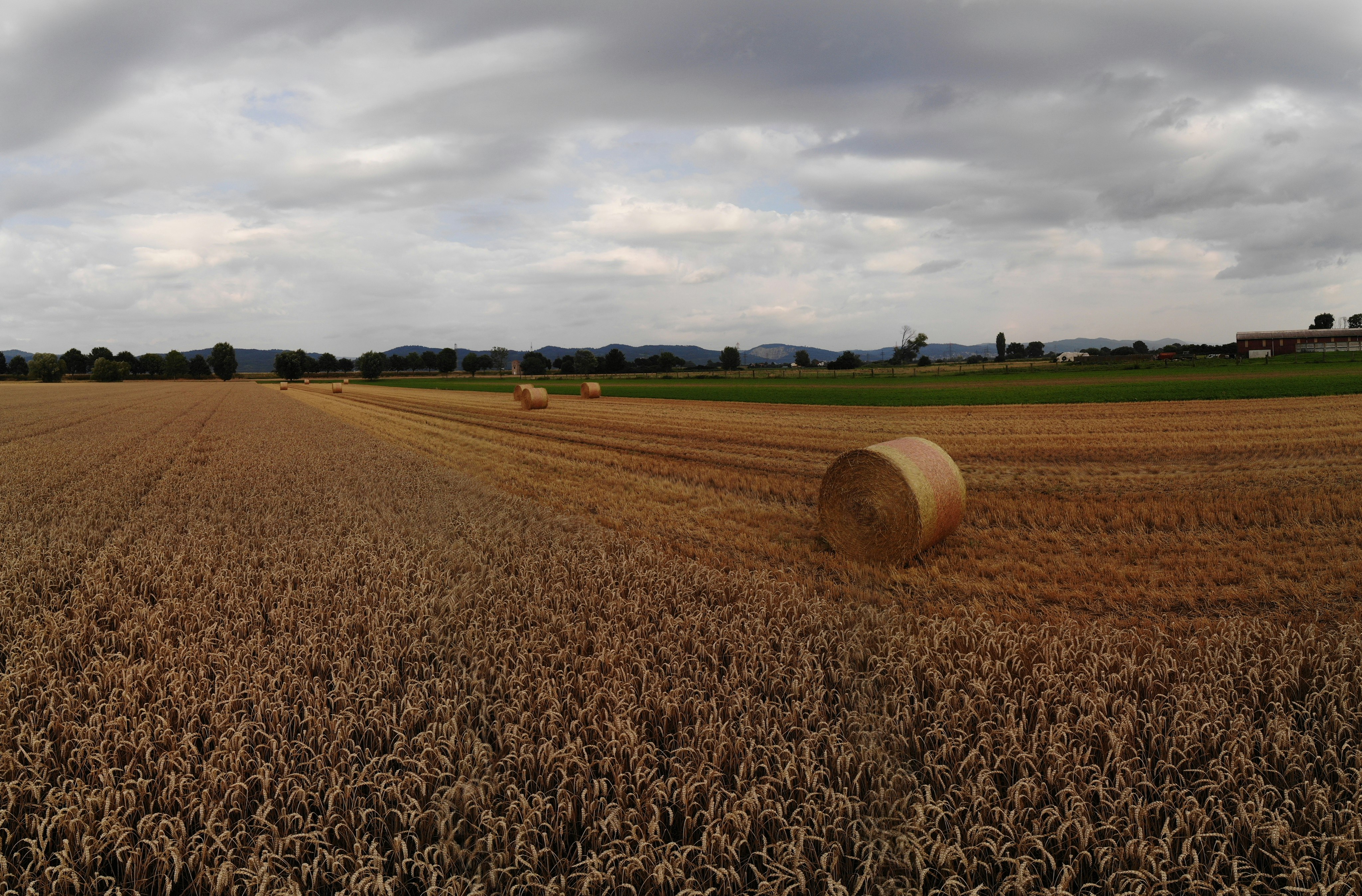 brown field under white clouds during daytime